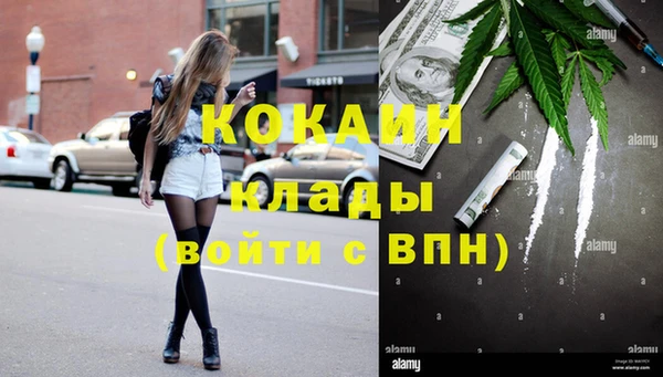 ПСИЛОЦИБИНОВЫЕ ГРИБЫ Алзамай