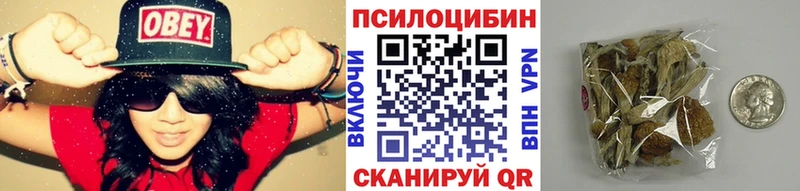 Галлюциногенные грибы мицелий Москва